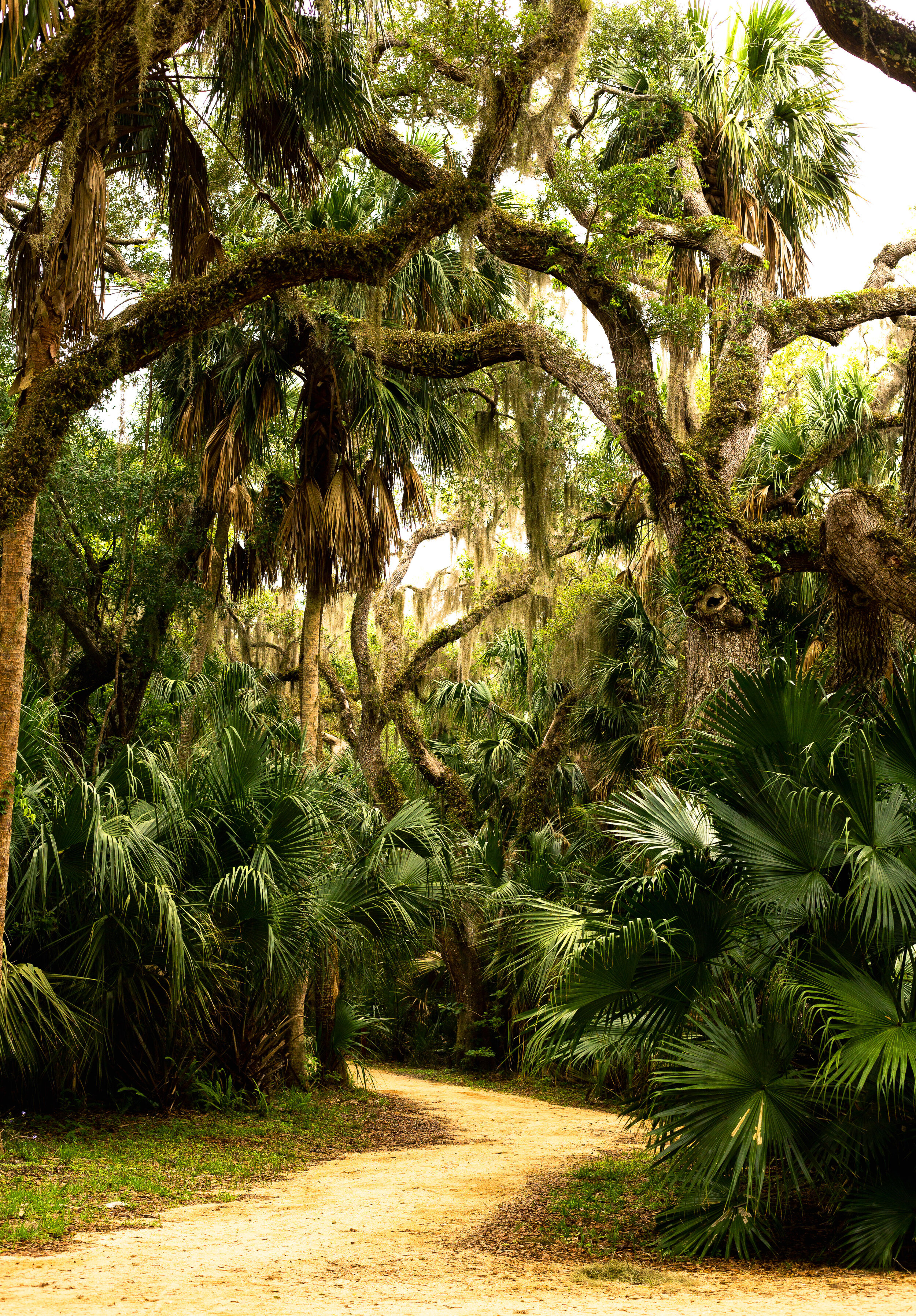 7 local parks to explore in Central Florida — LemonHearted
