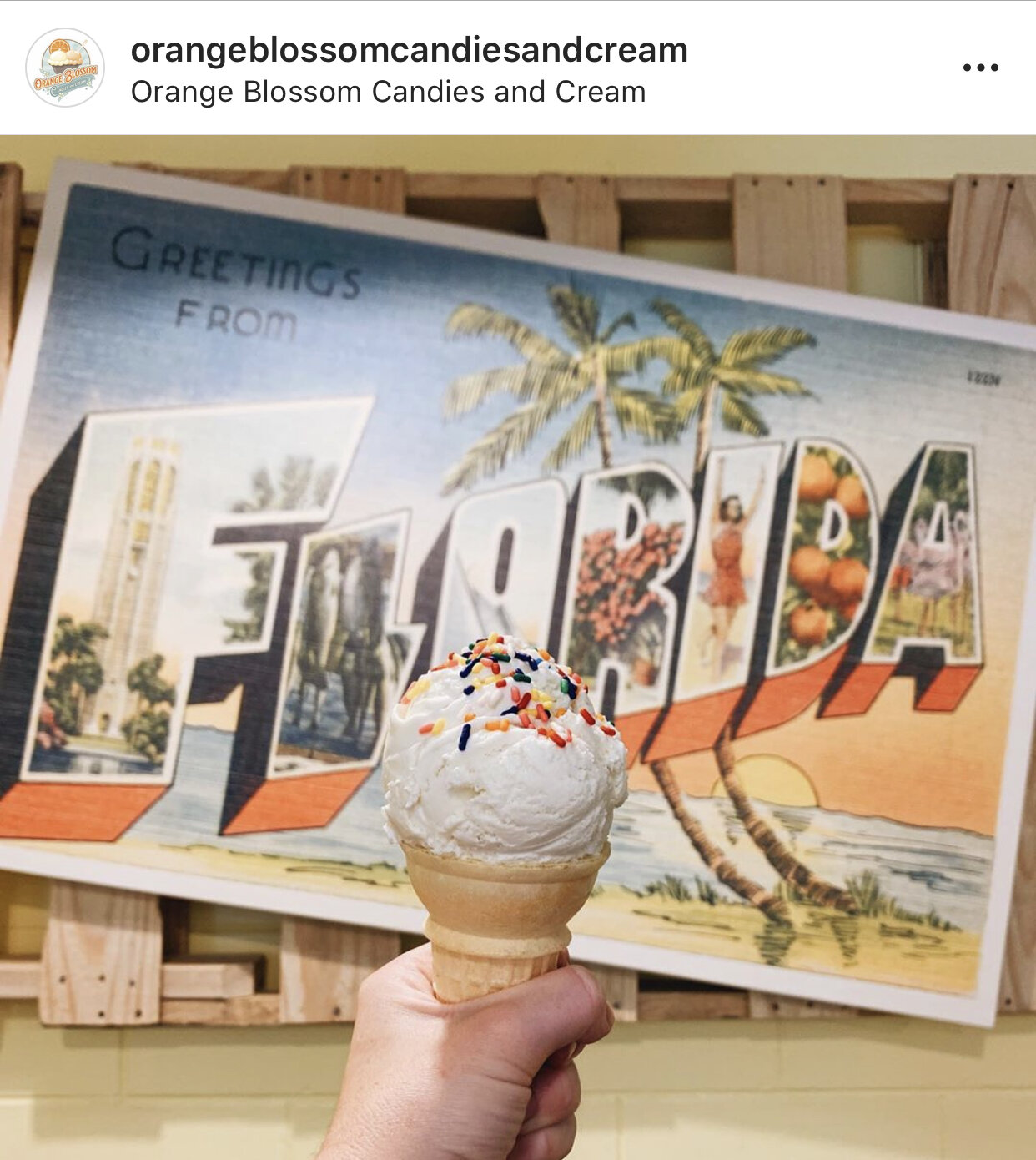 32 spots to grab ice cream in Orlando — LemonHearted