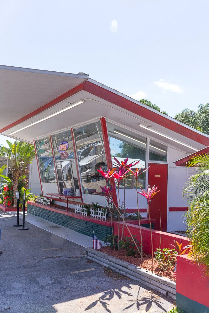 Exploring Plant City  LemonHearted