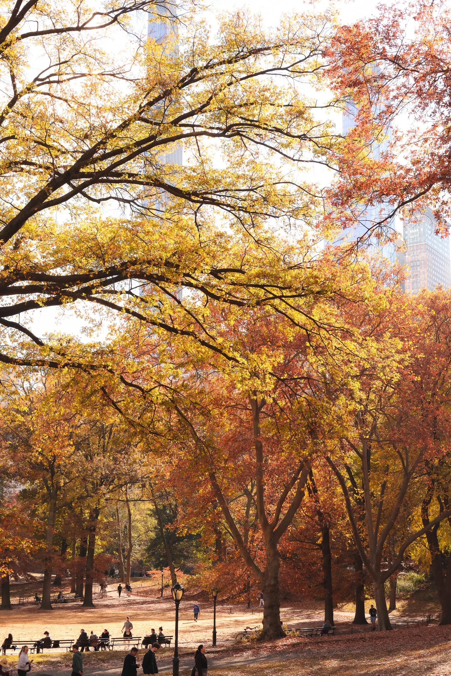 3-Day Weekend: Fall Itinerary in New York