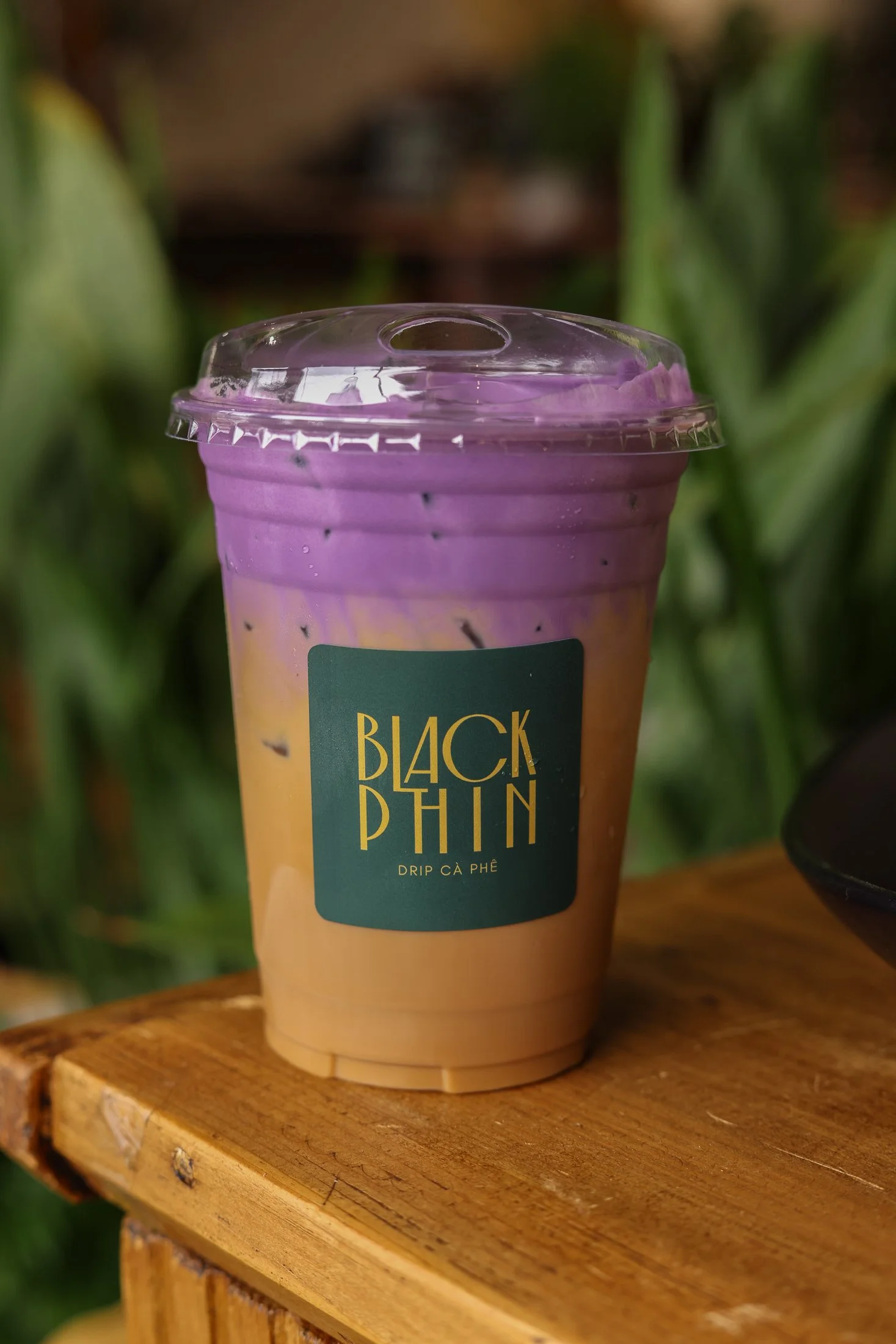 BlackPhin-3.jpg