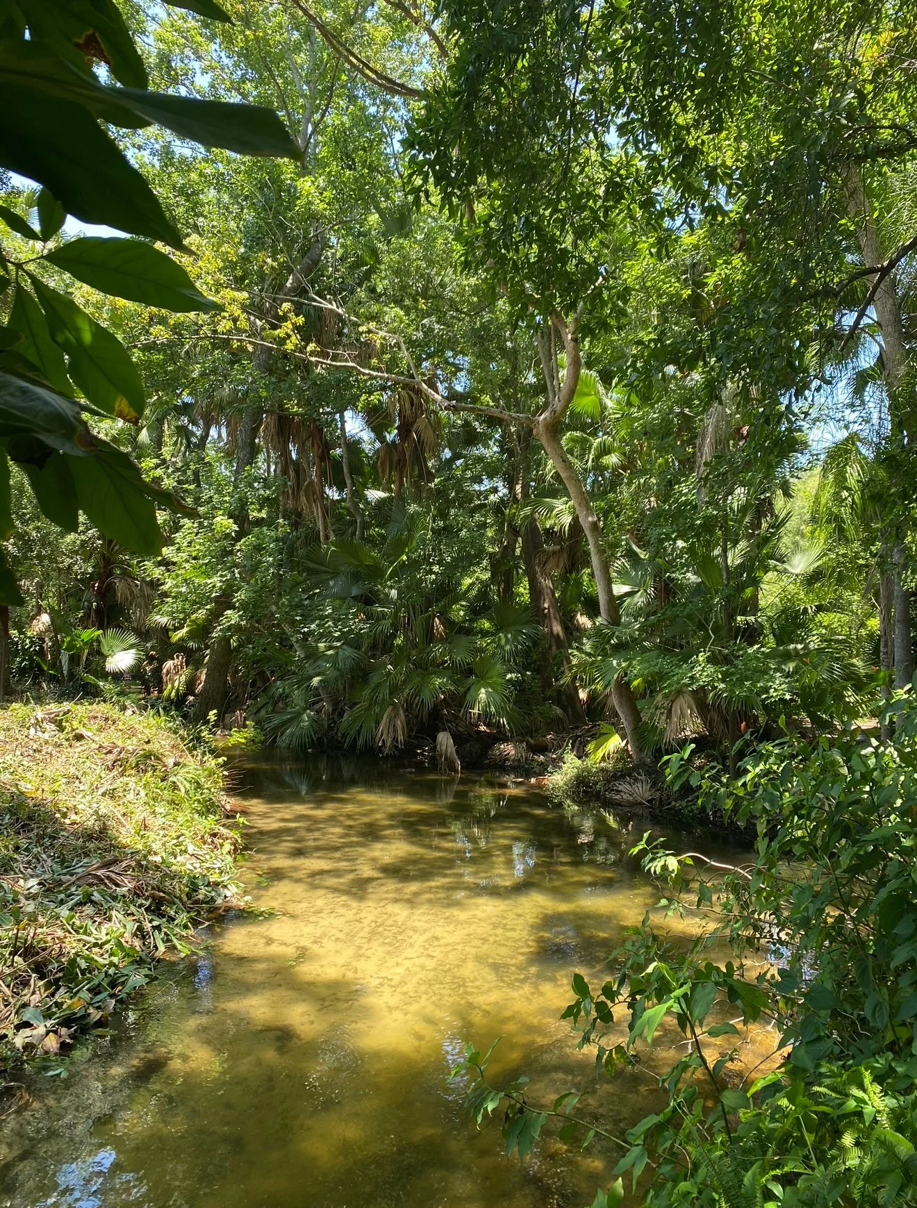 meadgardens2.jpg
