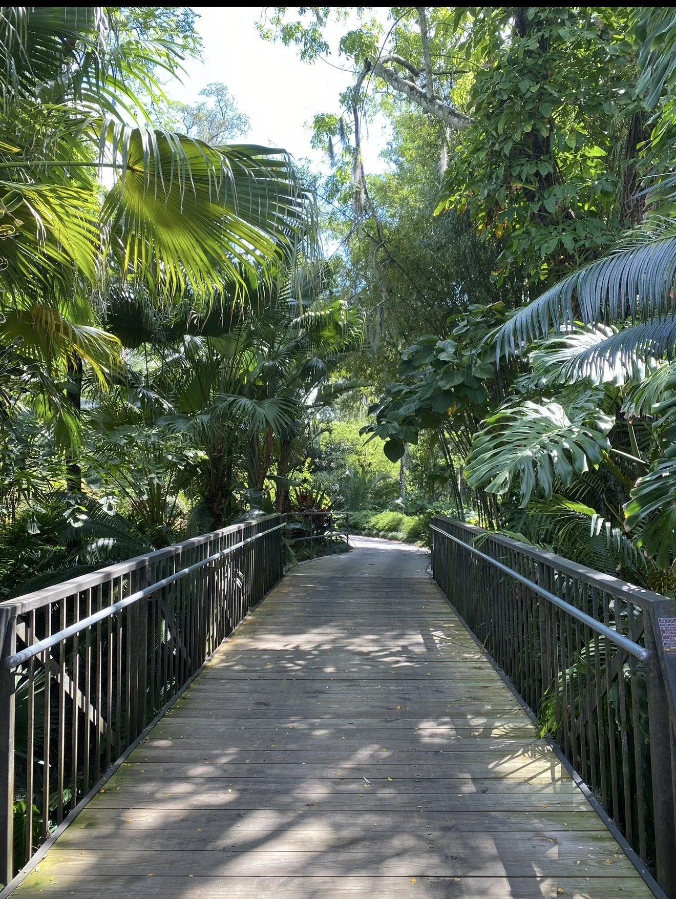 leugardens6.jpg