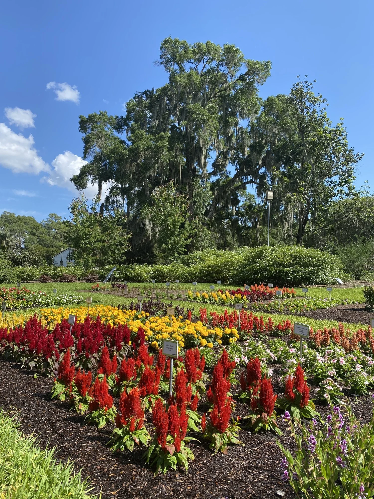 leugardens3.JPG