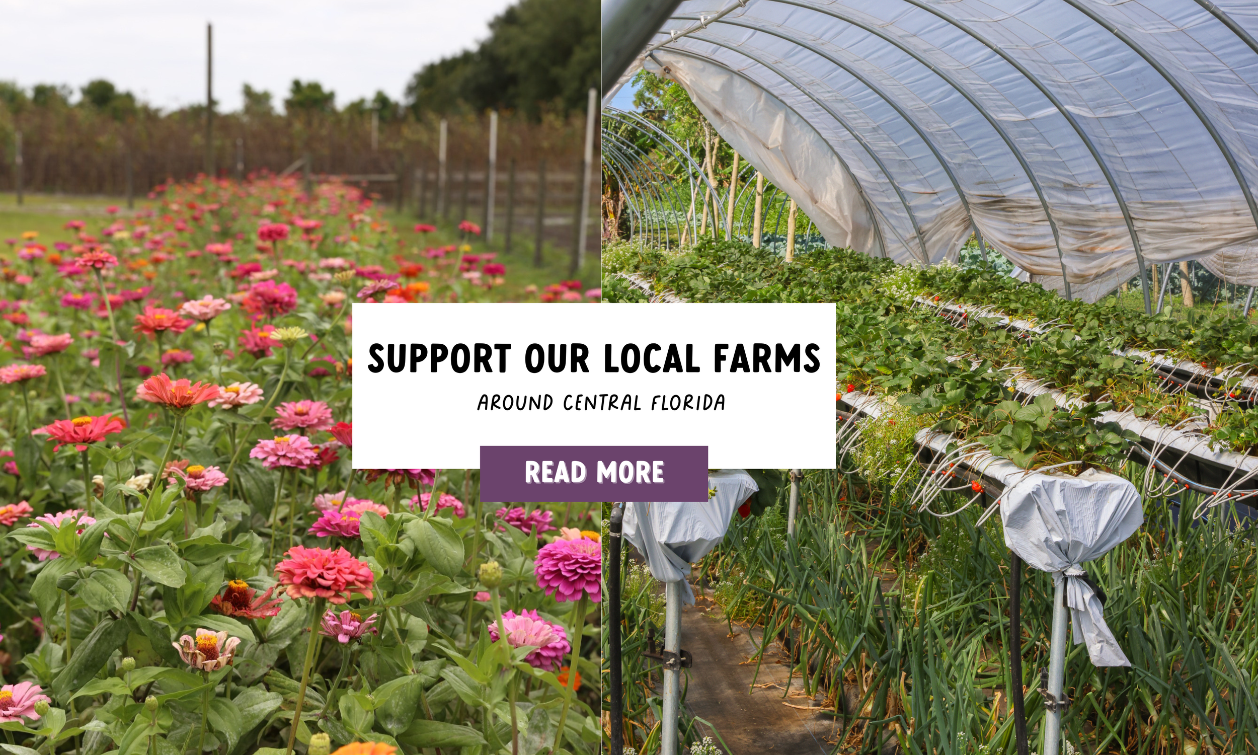 local farms.png