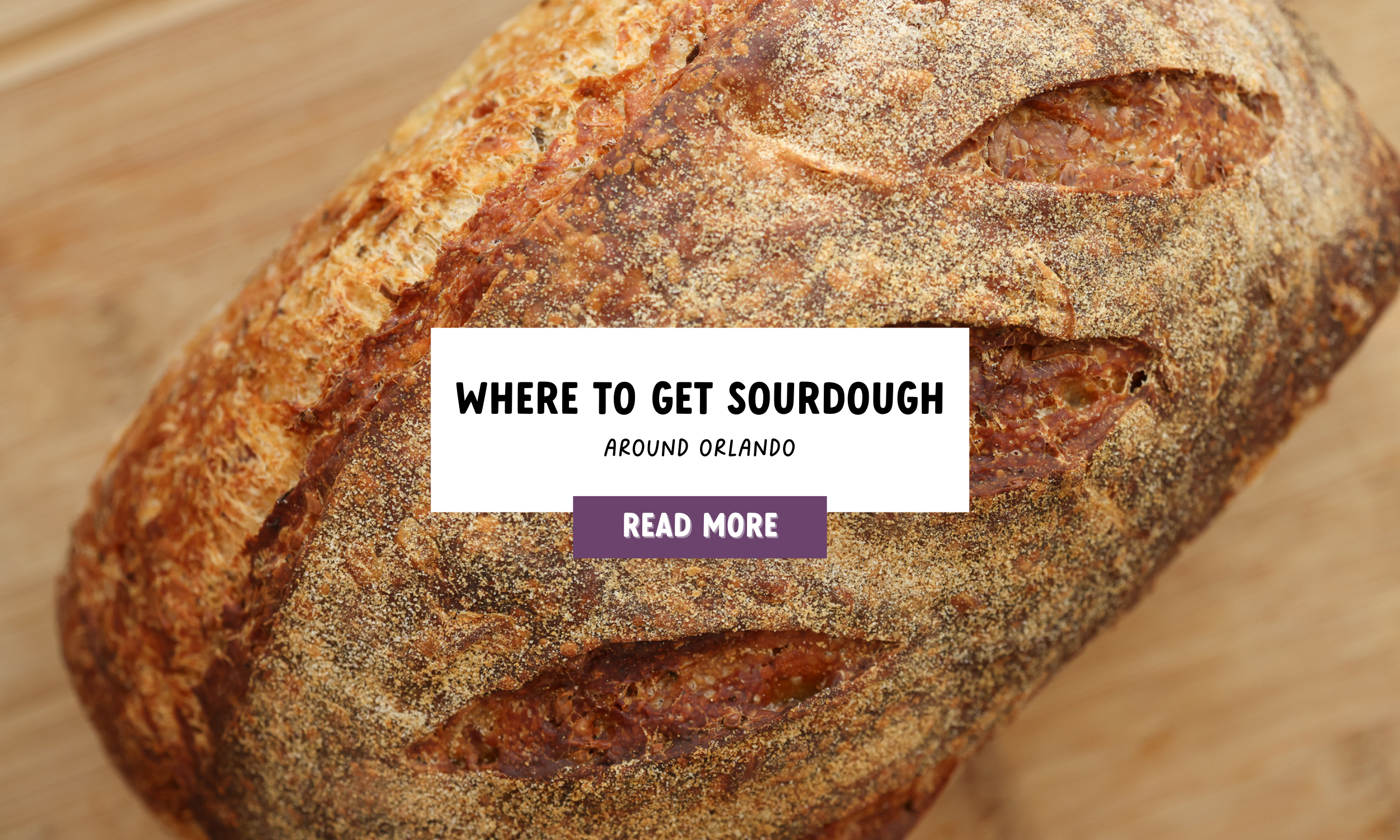 sourdough orlando (2).png