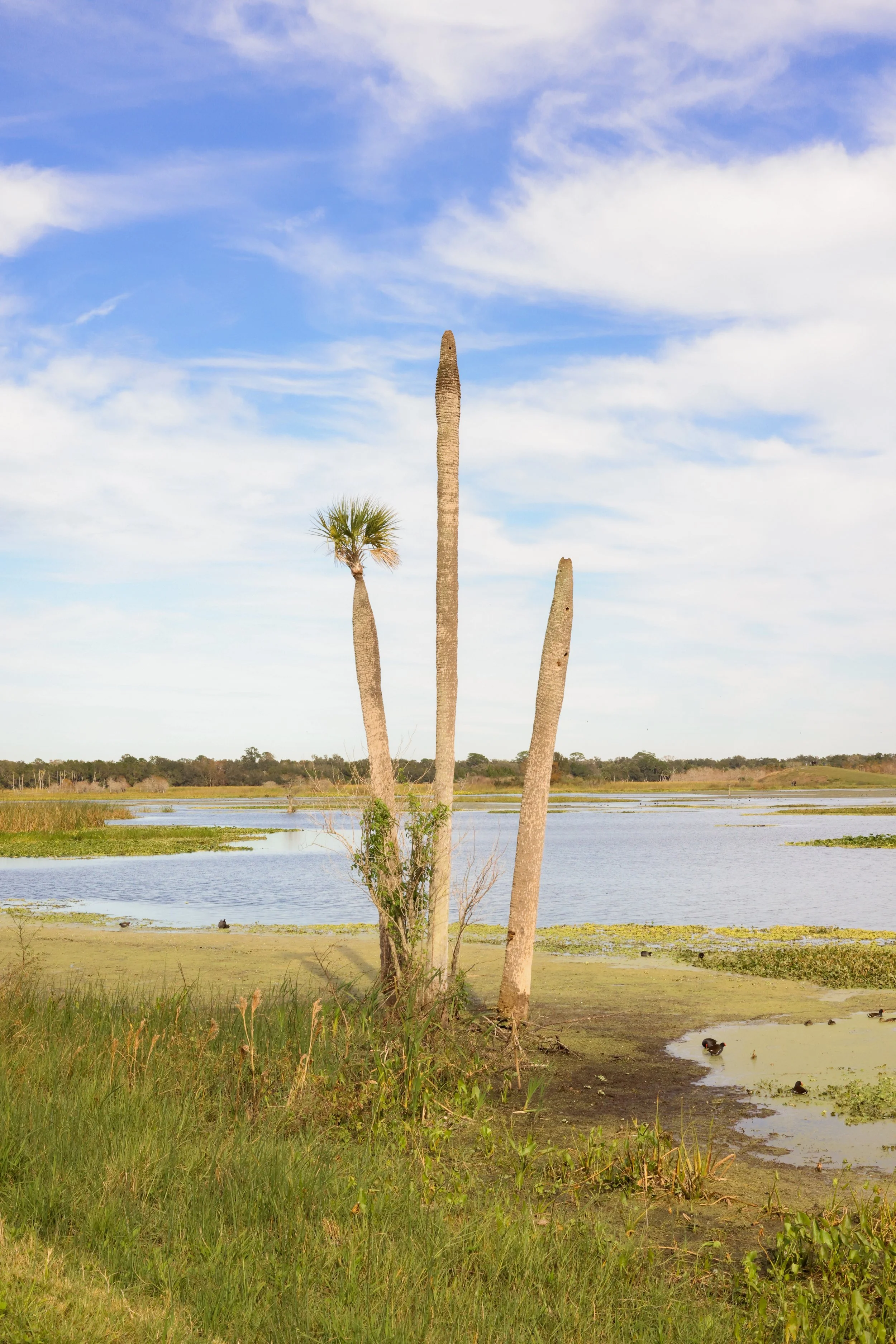 Spring Break Ideas in Orlando