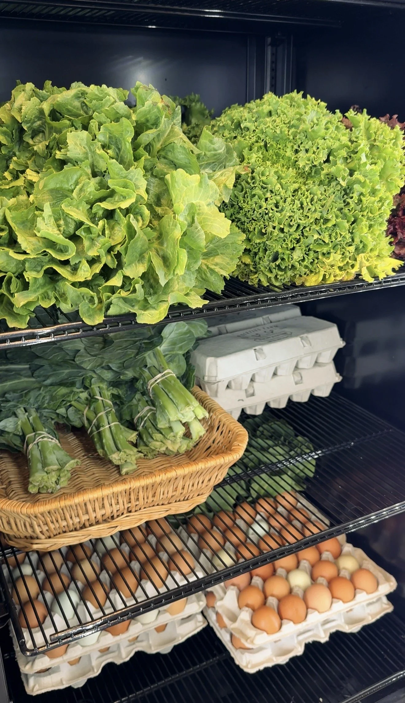 Where to Buy Farm Fresh Eggs, Meat, and Produce in Orlando