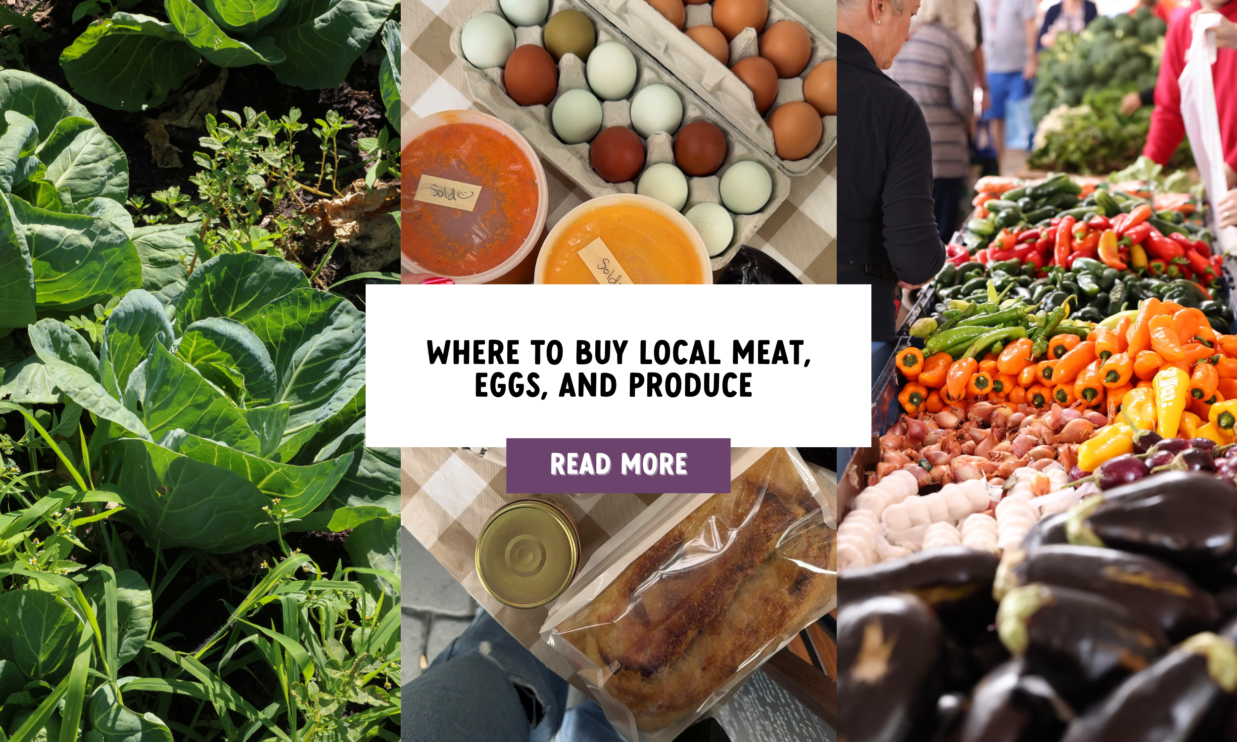 meats eggs produce orlando.png