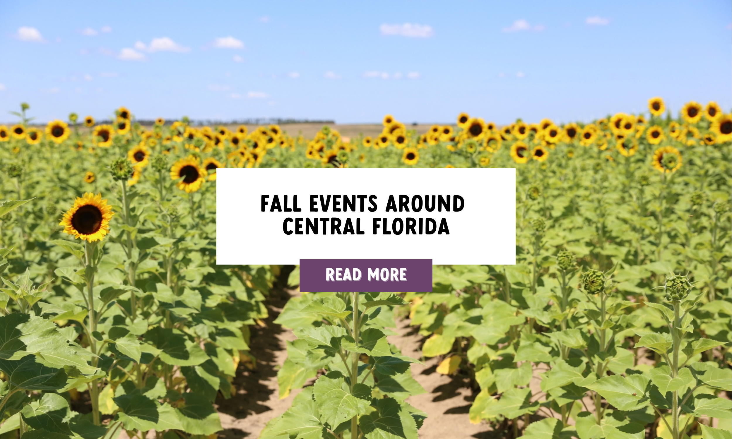 fall events (1).png