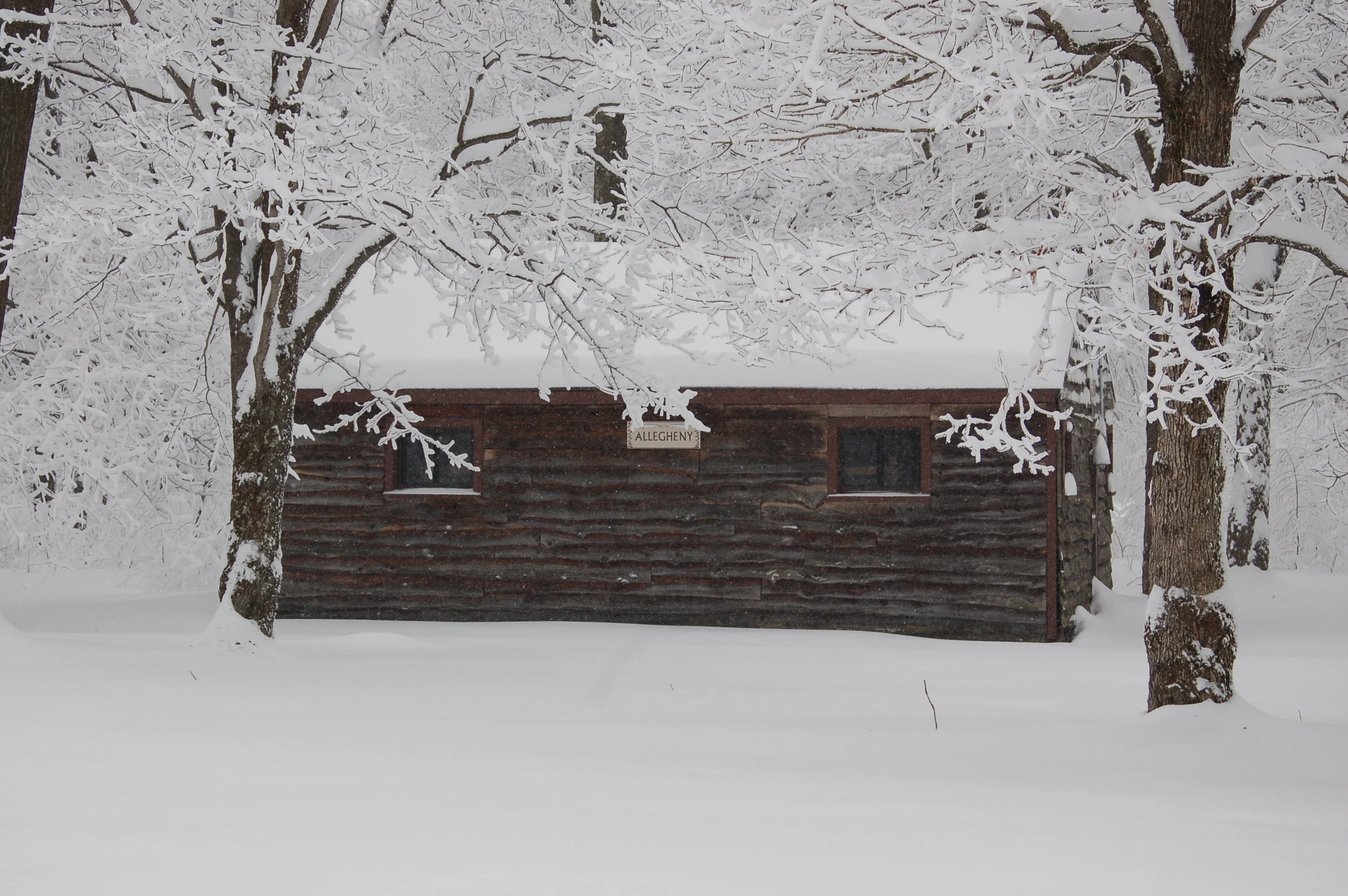 DSC_6340.JPG