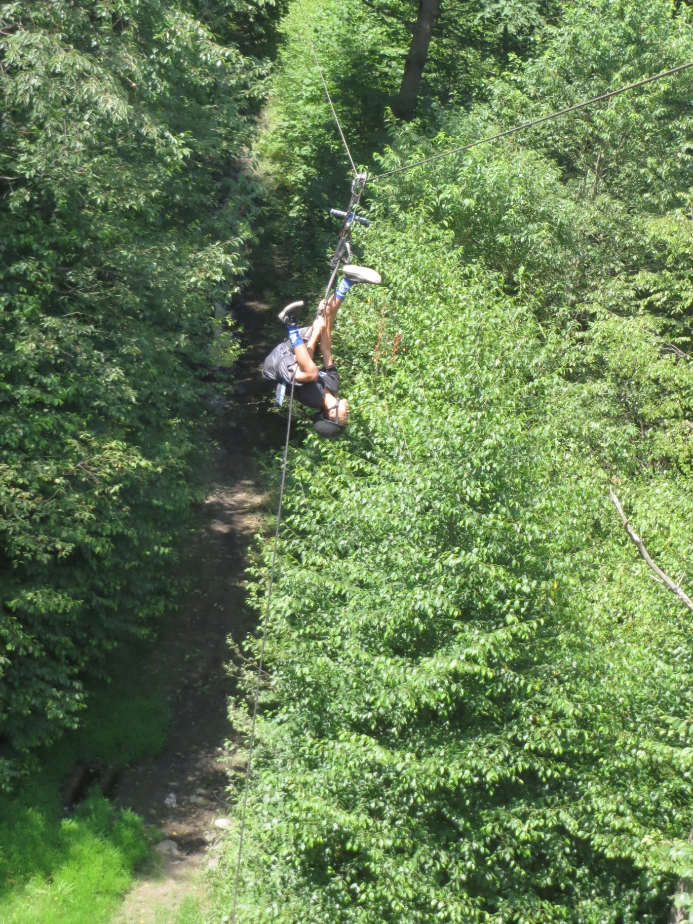 IMG_9267.JPG