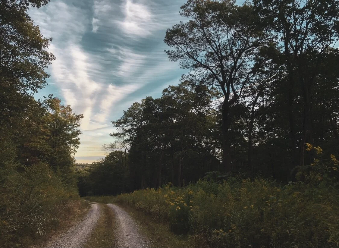 trail nature photo.jpg