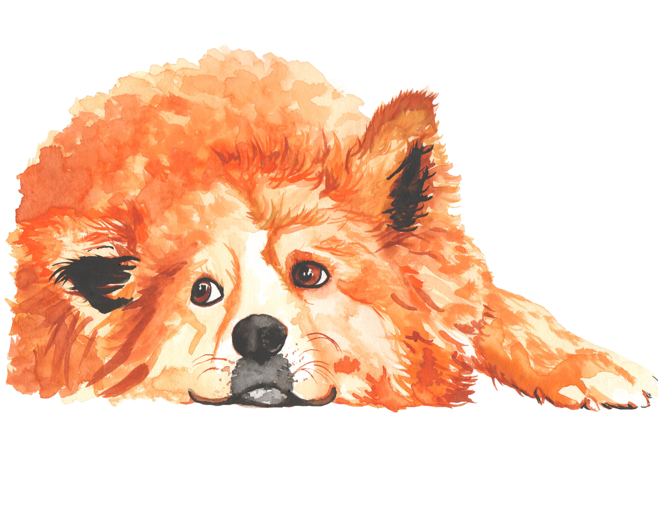 Chewy