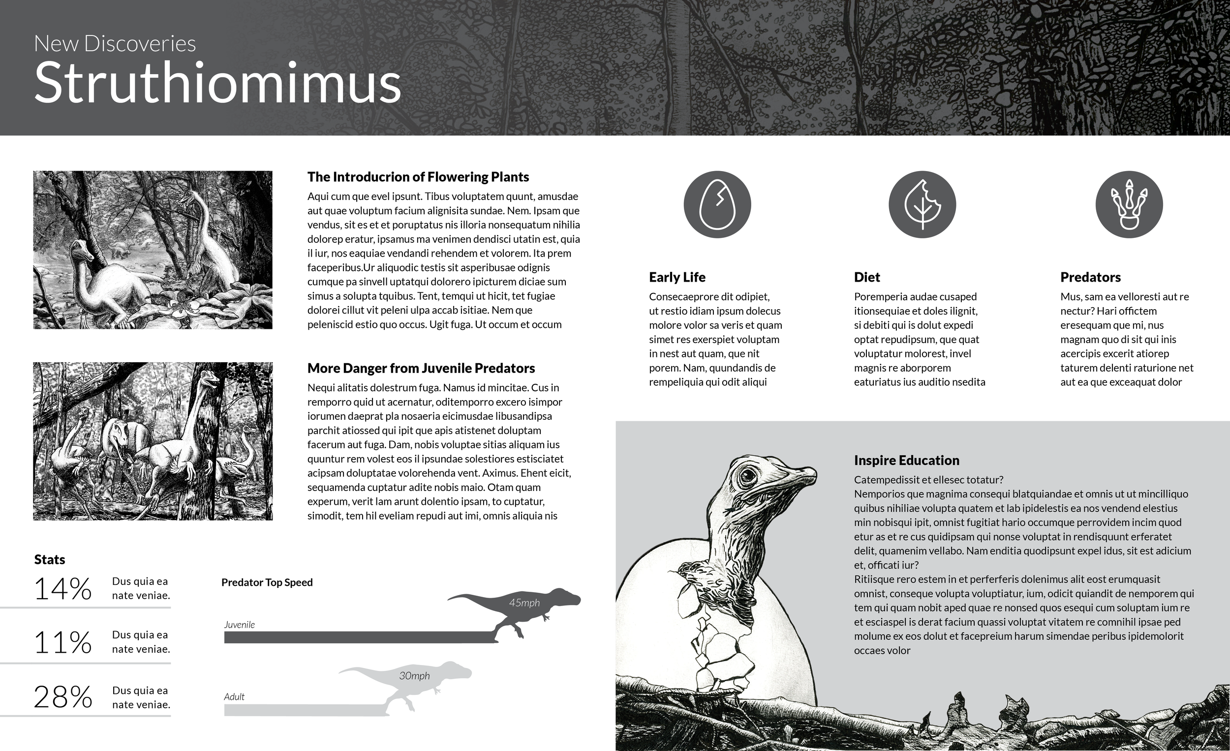 Page Spread