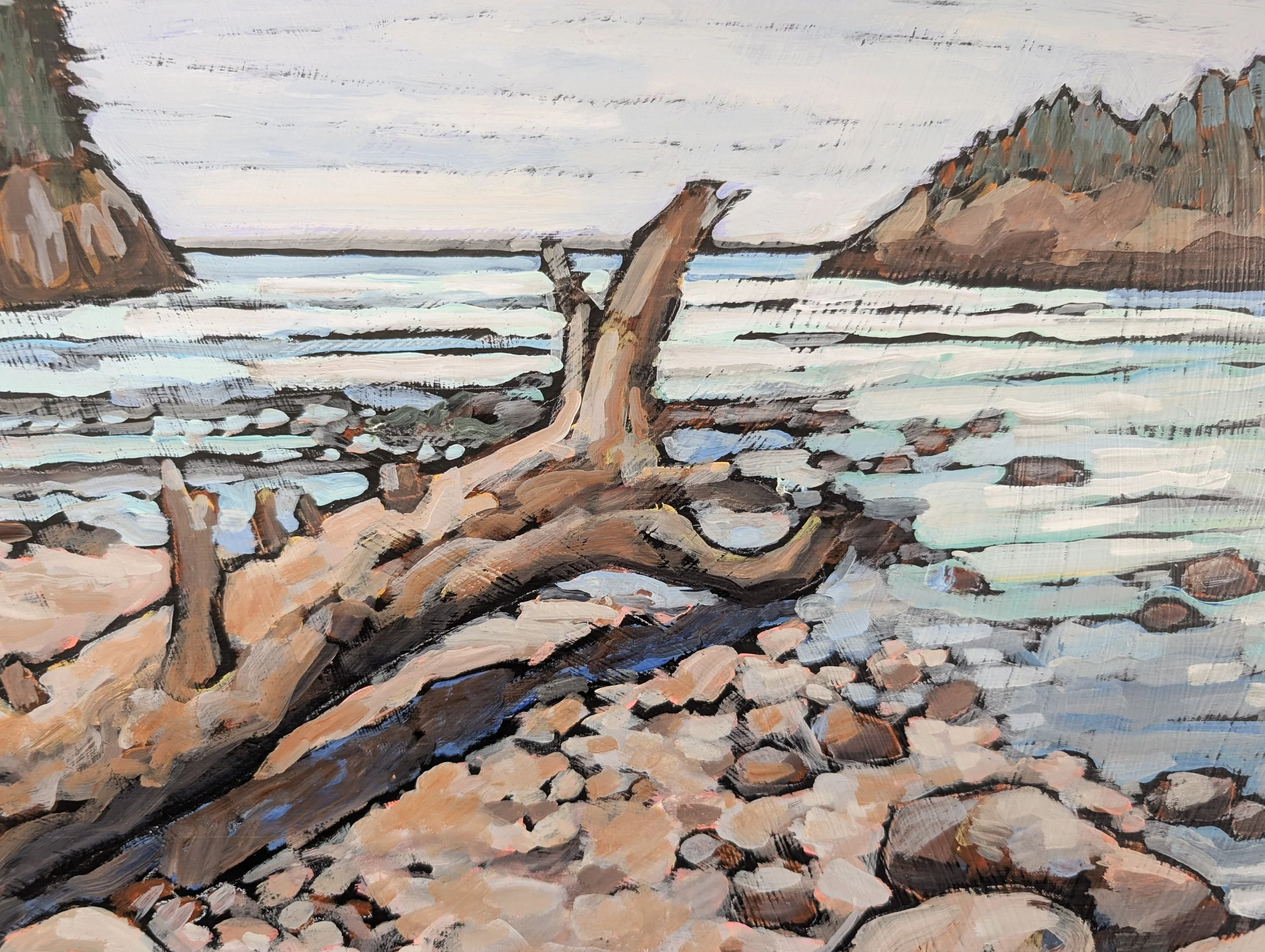 smuggler cove-4.jpg
