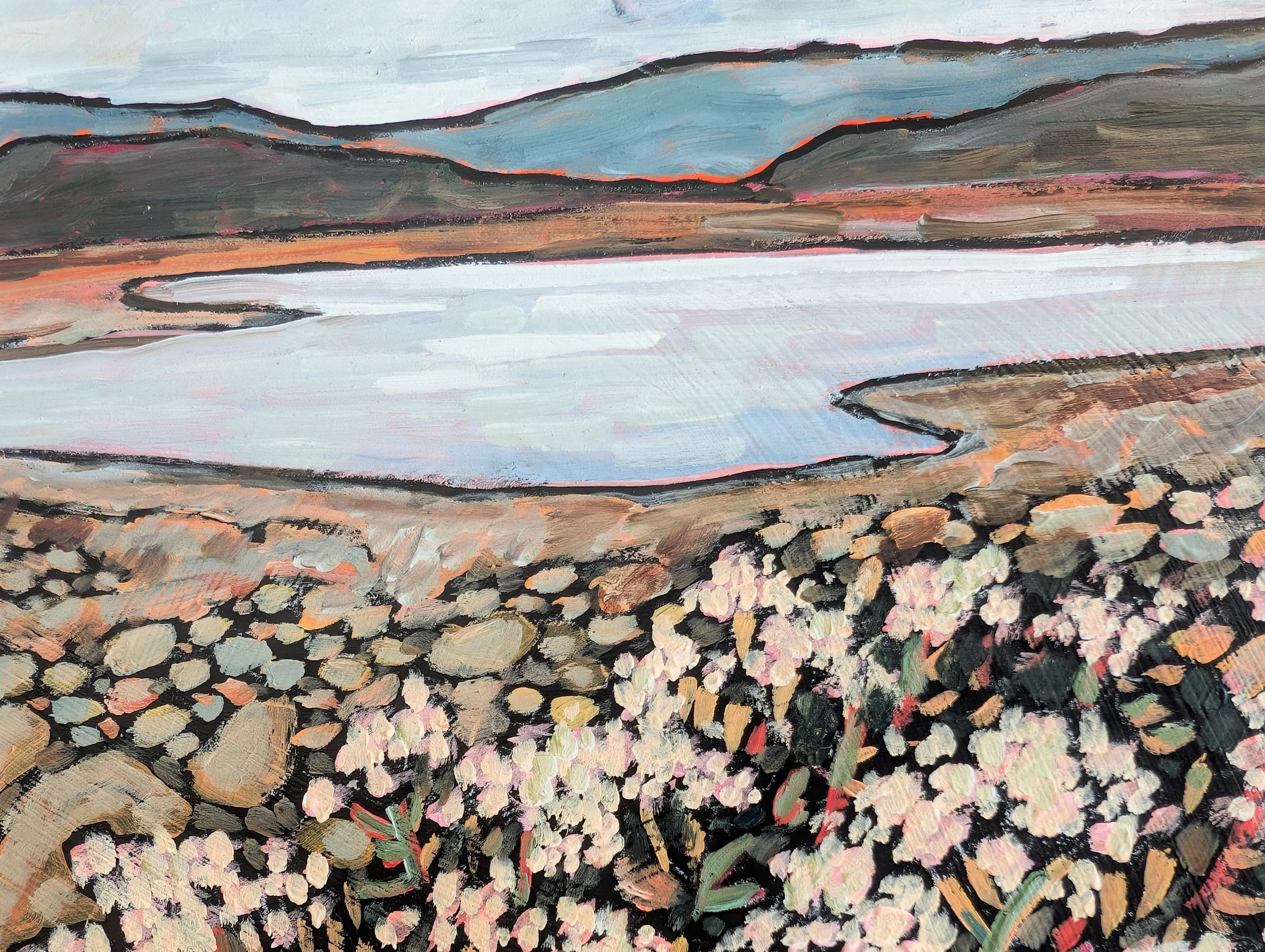 beaver meadow-1.jpg