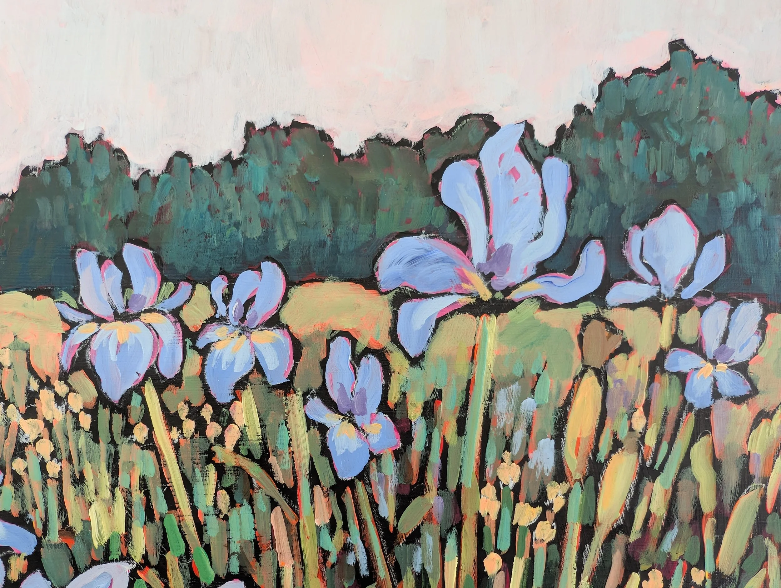 irises-5.jpg