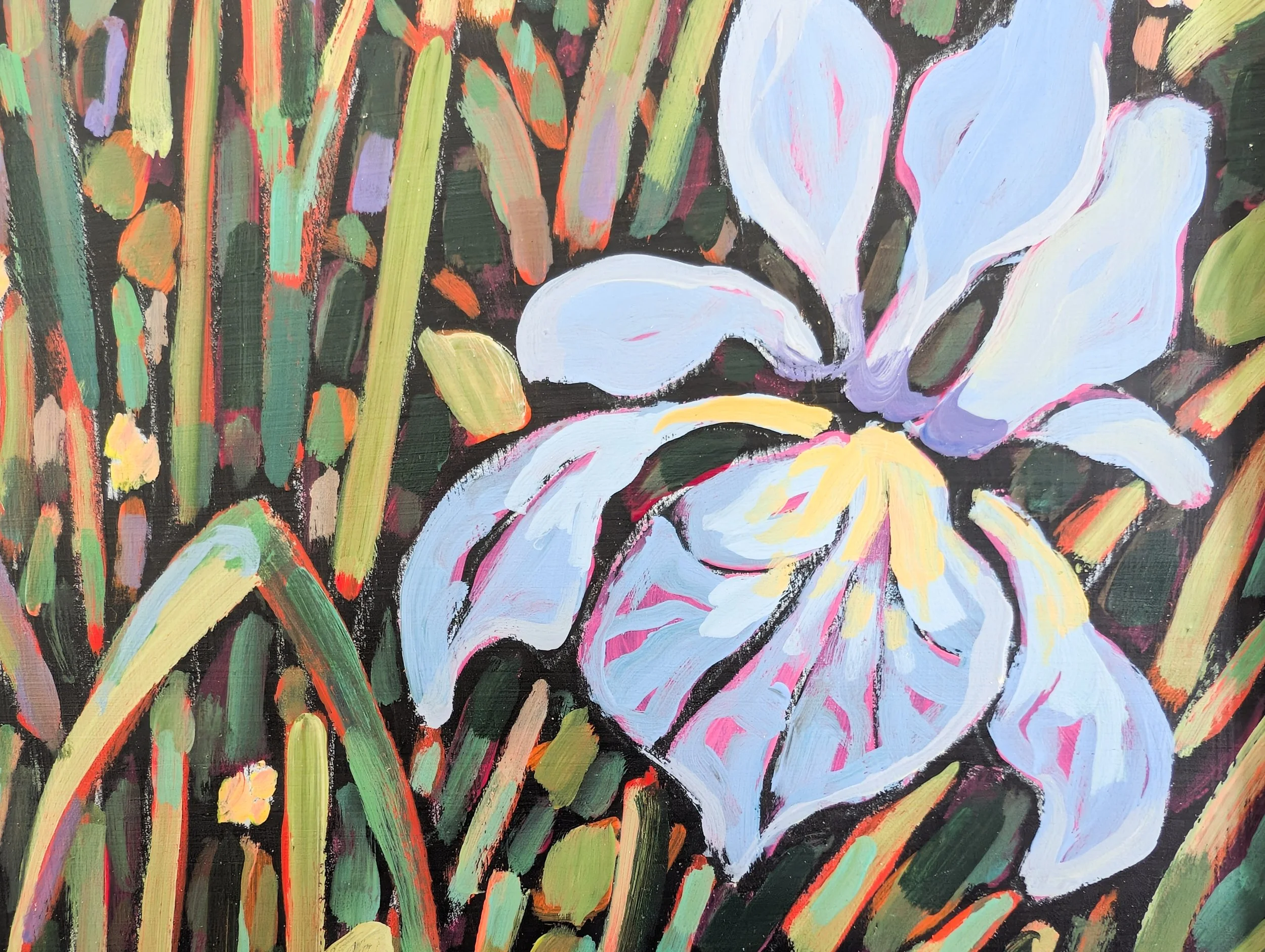 irises-6.jpg