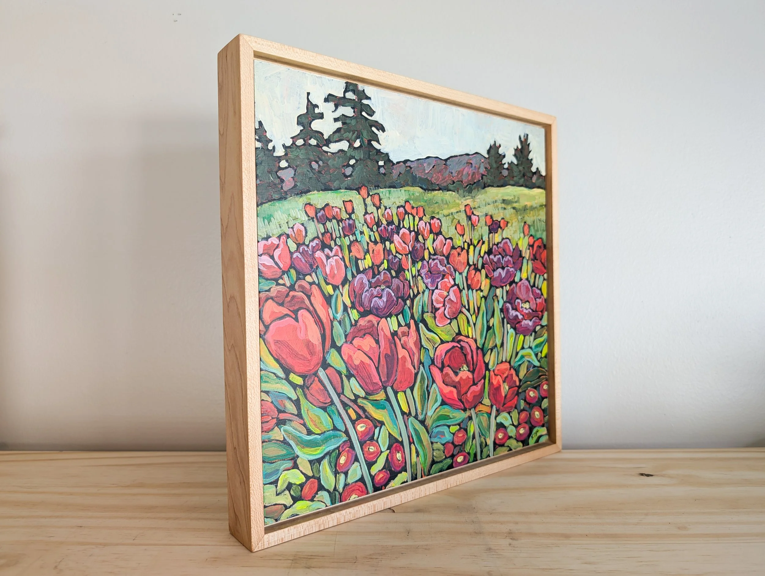 tulips and english daisies-6.jpg