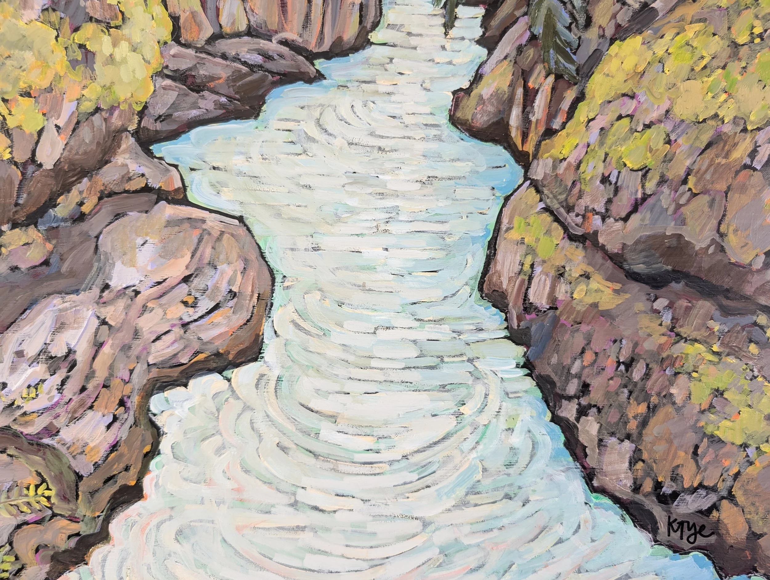 avalanche creek-4.jpg