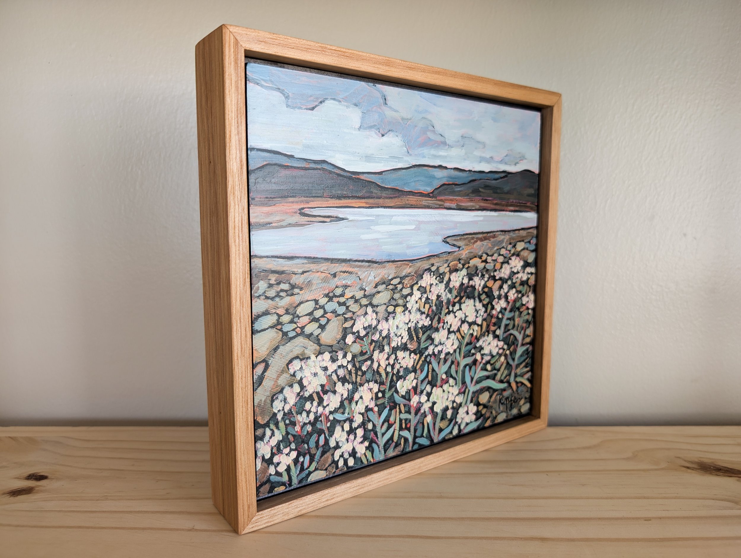 beaver meadow-5.jpg