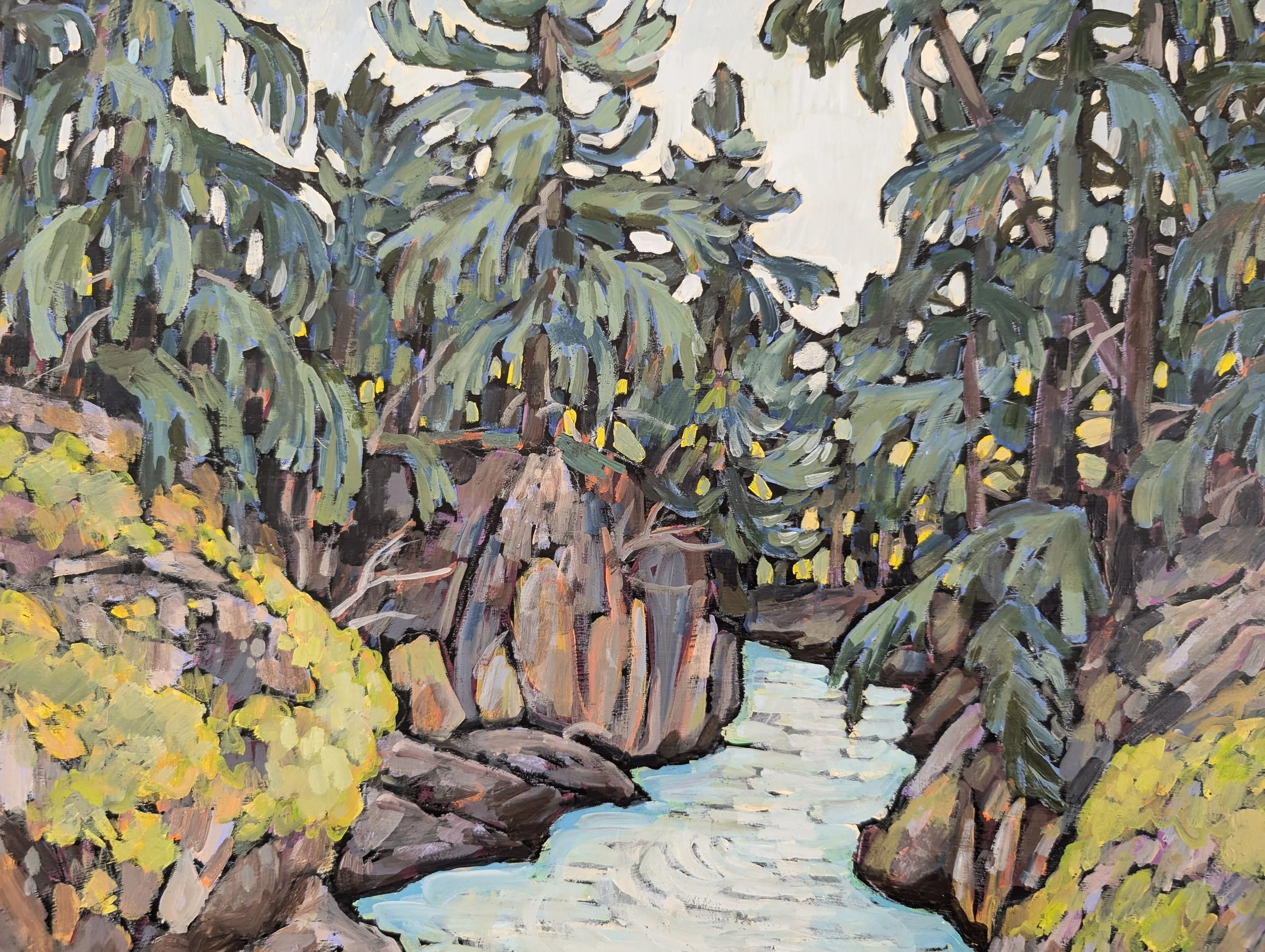 avalanche creek-3.jpg