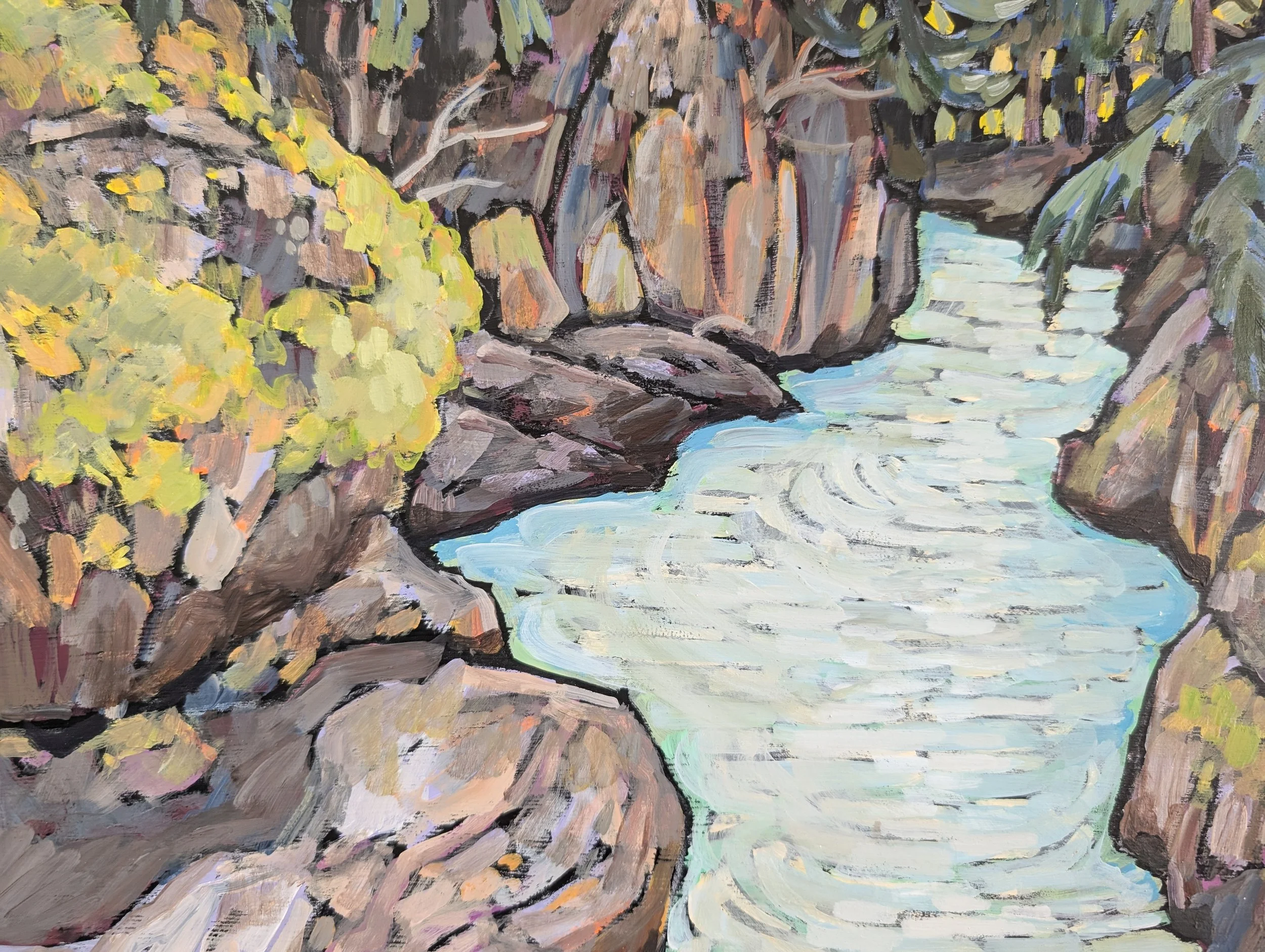 avalanche creek-6.jpg