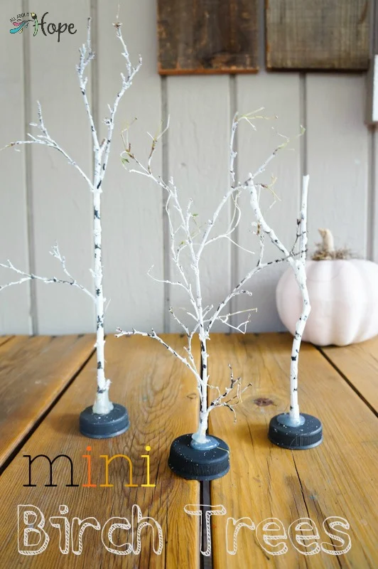 Mini Birch Trees