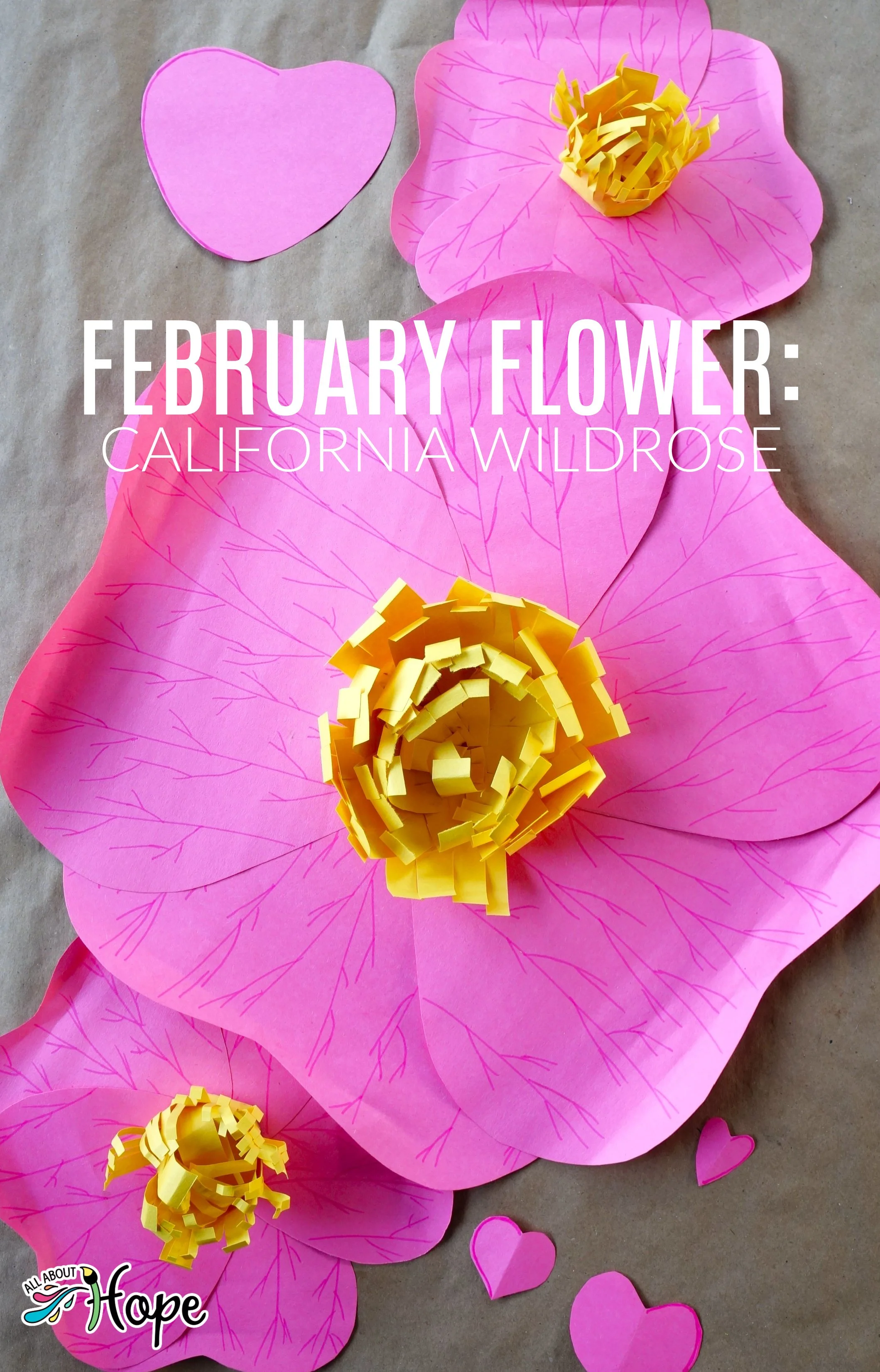 February Flower: CALIFORNIA WILDROSE