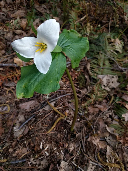 You're Not Alone (though it probably feels like it)