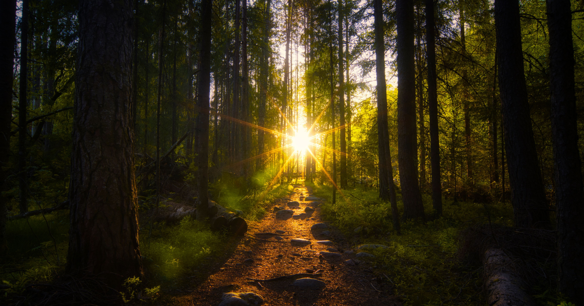 Stop Trying To Make Sense Of Reality - Productivity Nugget #069