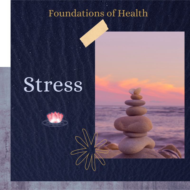 Copy of Copy of Foundations of Health_ Stress.png