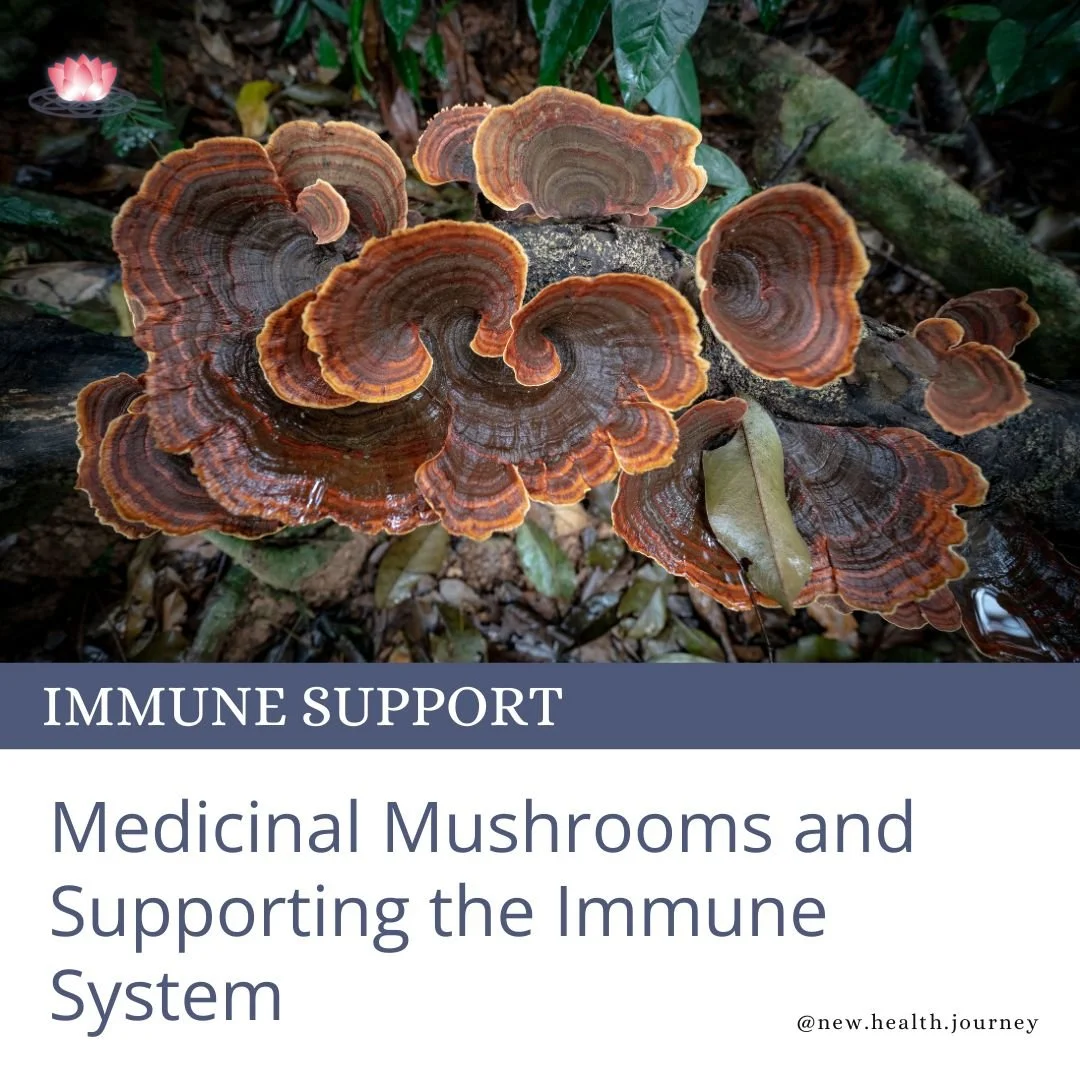 Medicinal Mushrooms and Supporting the Immune System.jpg