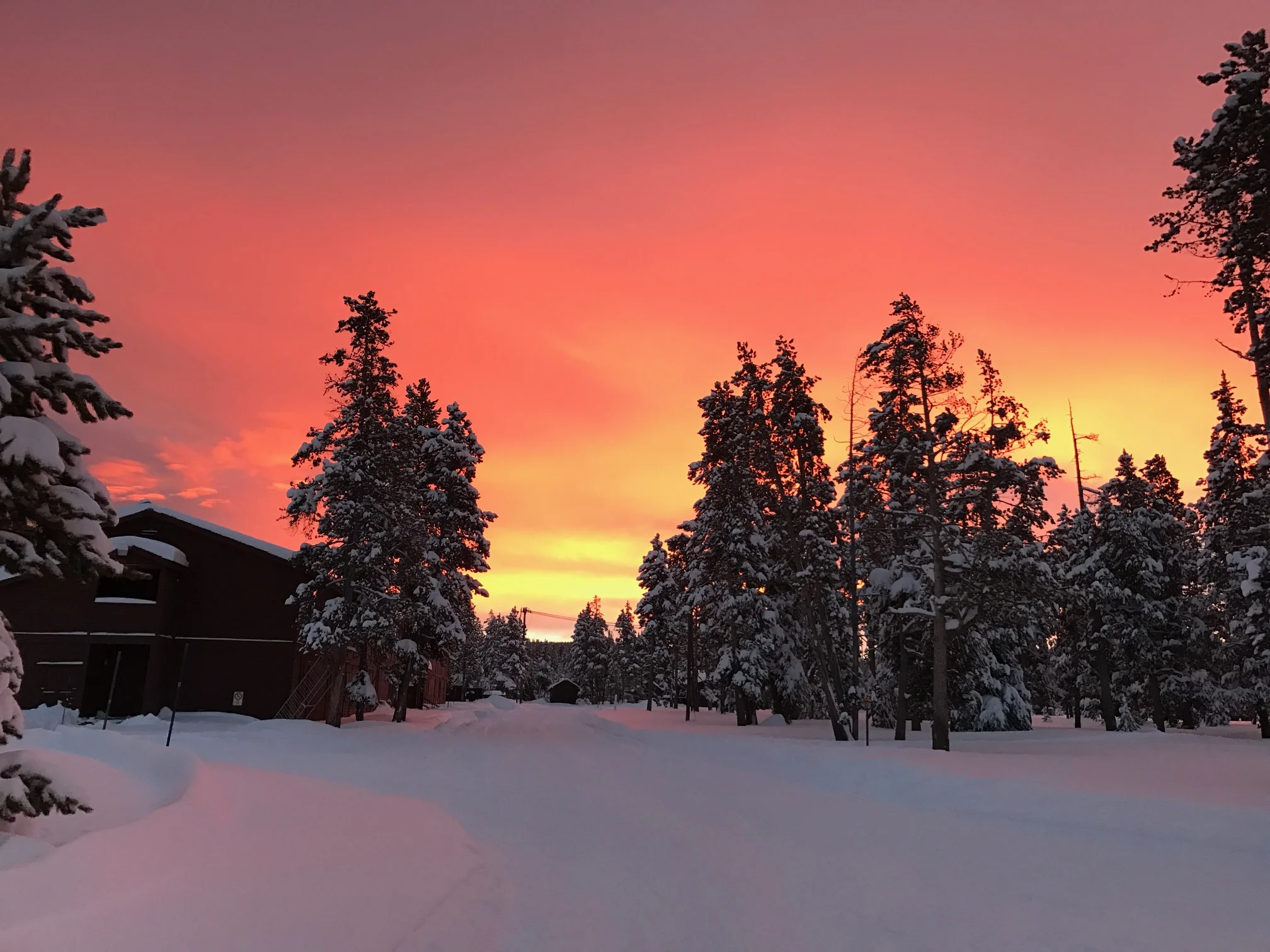 U.S. National Parks: How to Plan Your Trip 