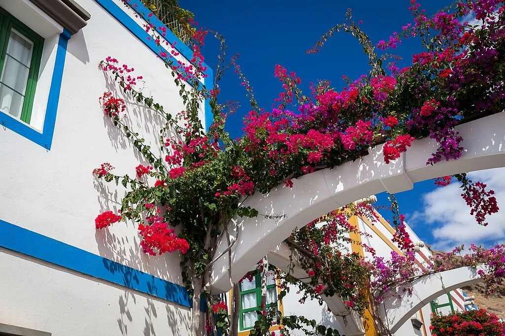 Puerto de Mogan Gran Canaria, Spain. Photo by Svein-Magne Tunli.