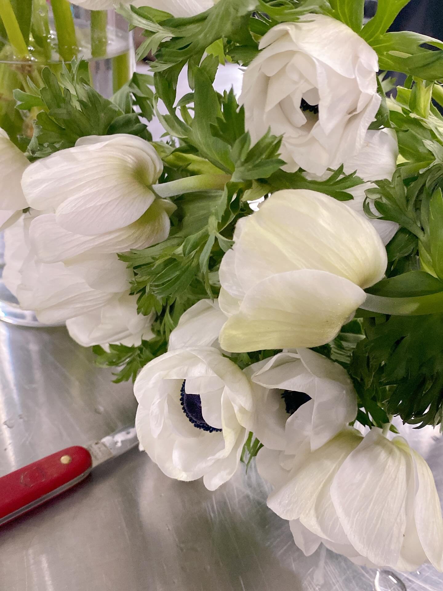 This weekend&rsquo;s mood: delicate white anemones with their bold dark centers &mdash; the perfect touch of drama + grace.
🖤 Simply stunning.

#AnemoneLove #WeekendFlowers #FloralInspo #MoodyBlooms #sundaywedding #excited #vysfloraldesignstudio