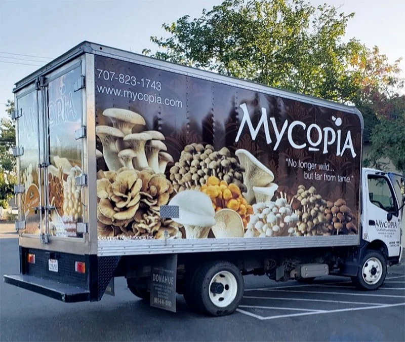 Careers | Job Openings at Gourmet Mushrooms, Inc. — Mycopia Mushrooms