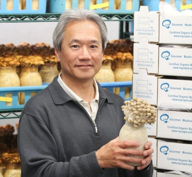 The Coming Mycocultural Revolution, Part 1