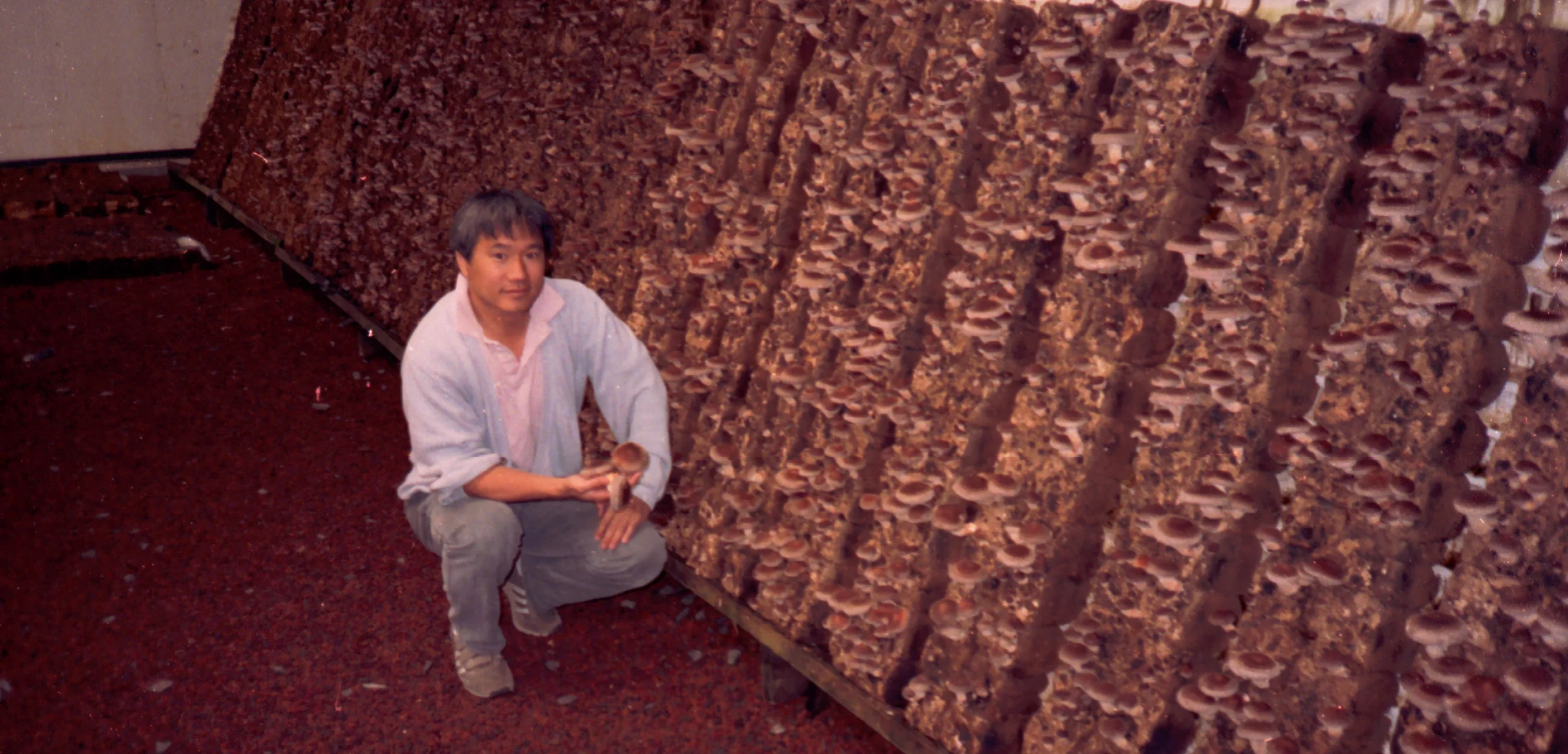 Gourmet Mushrooms Inc., A Brief History
