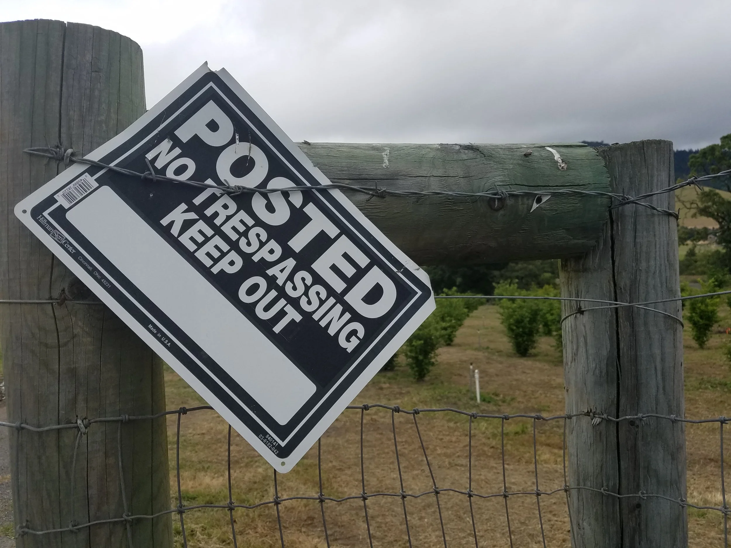 Truffles, Cultivated in Sonoma County, California!