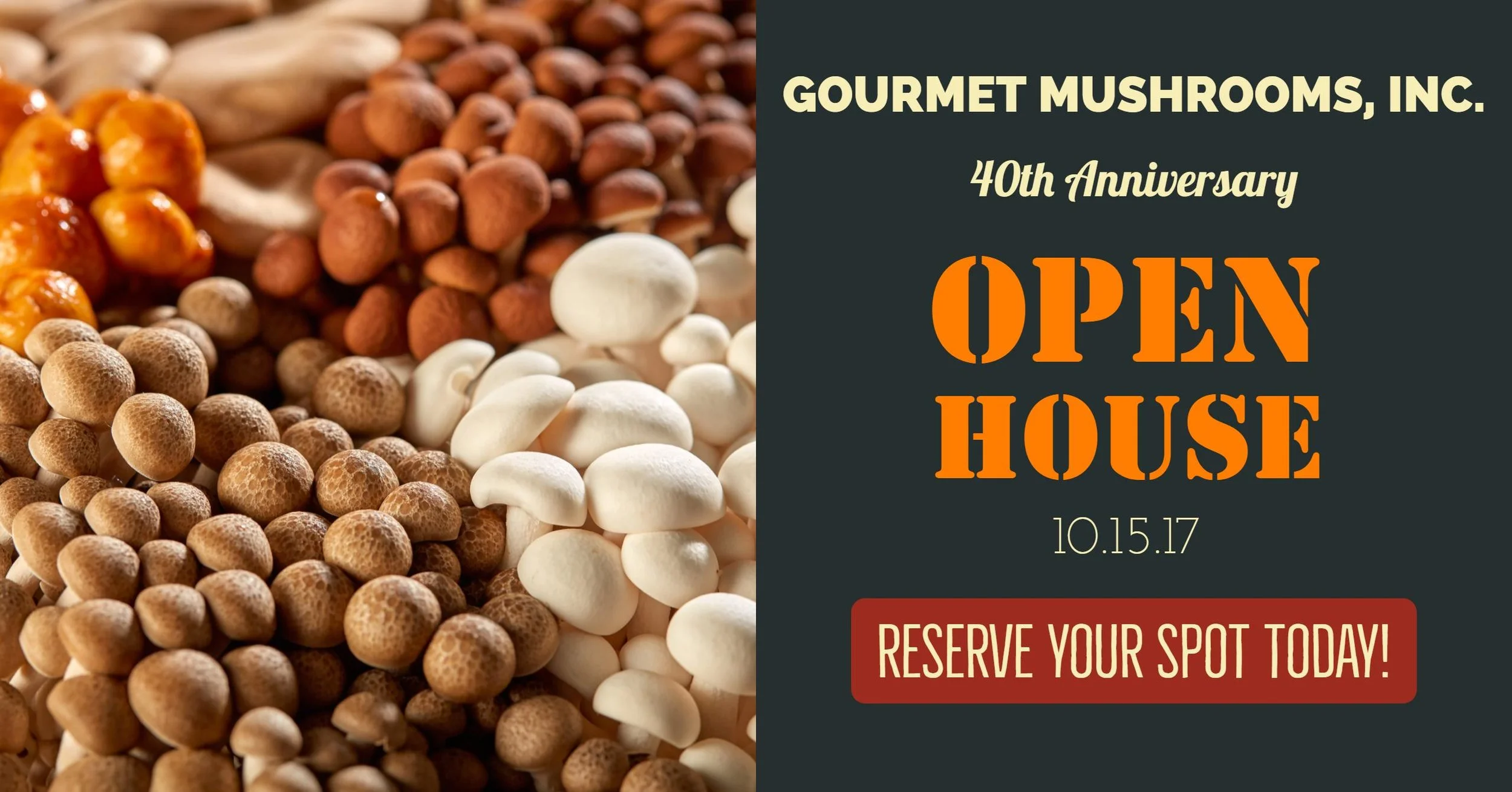 Celebrating 40 Years of Specialty Mushrooms