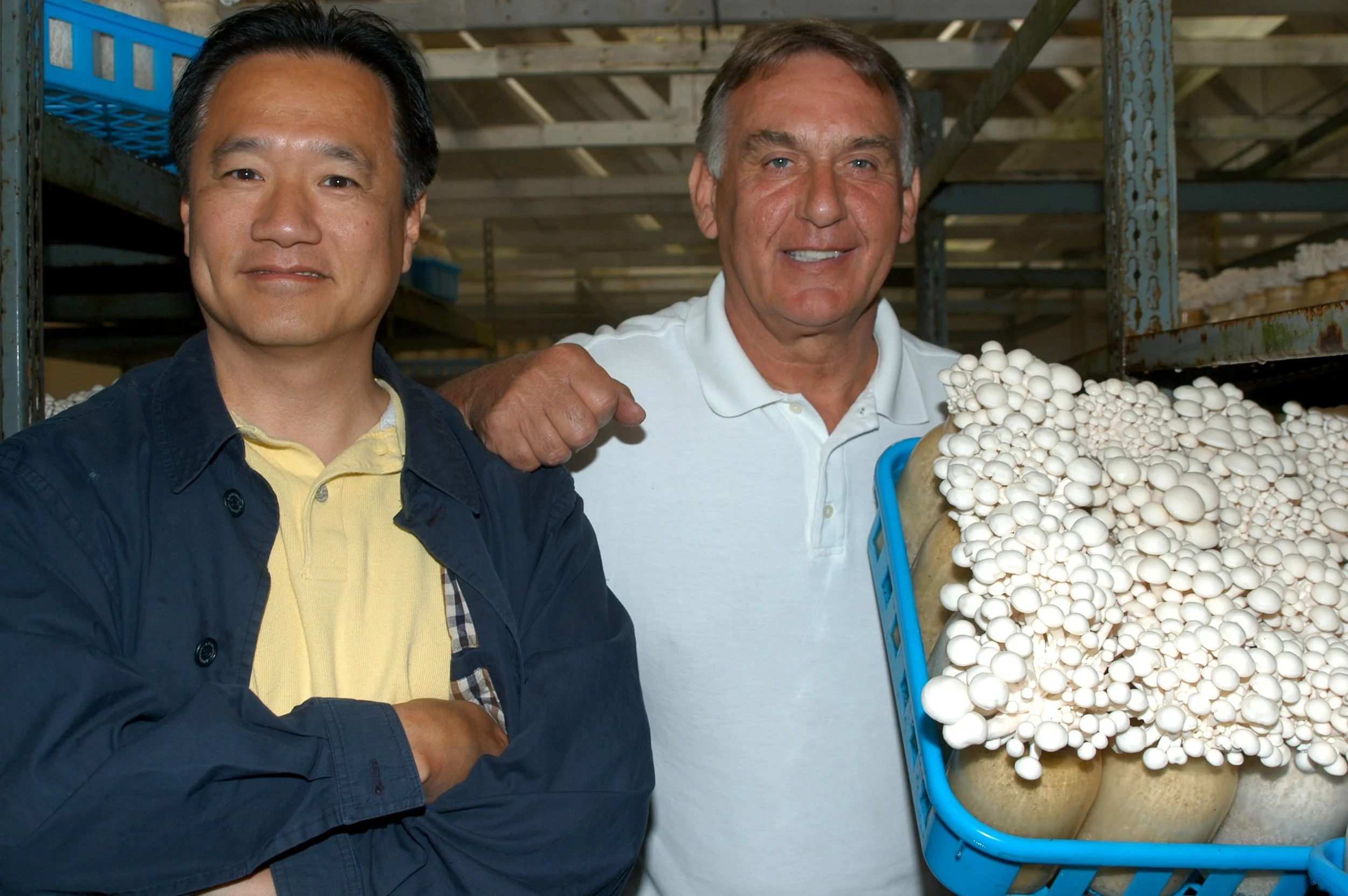  Founders Malcolm and David upon successful cultivation of Alba Clamshell 