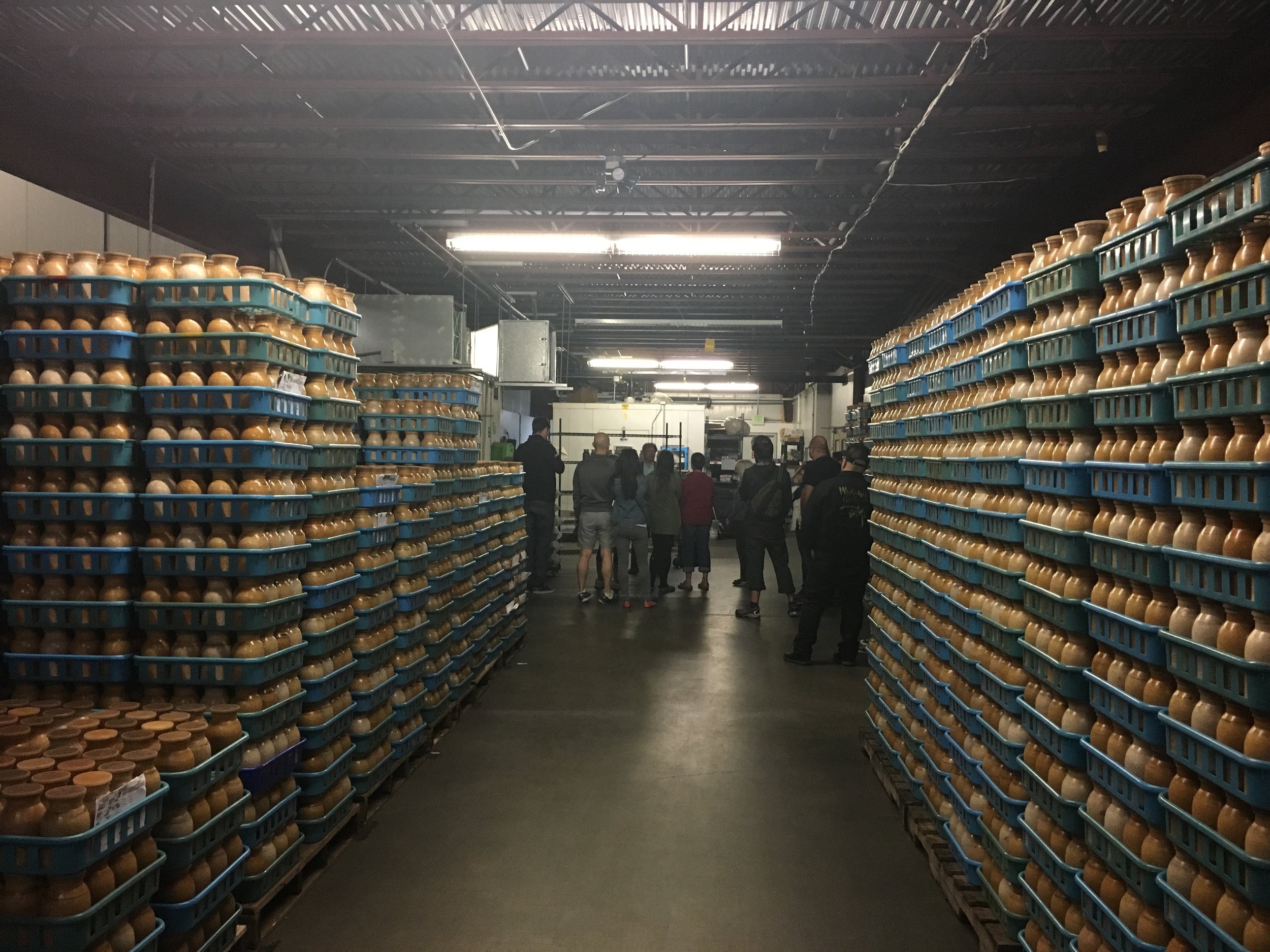  The farm tour passes through the germination room 