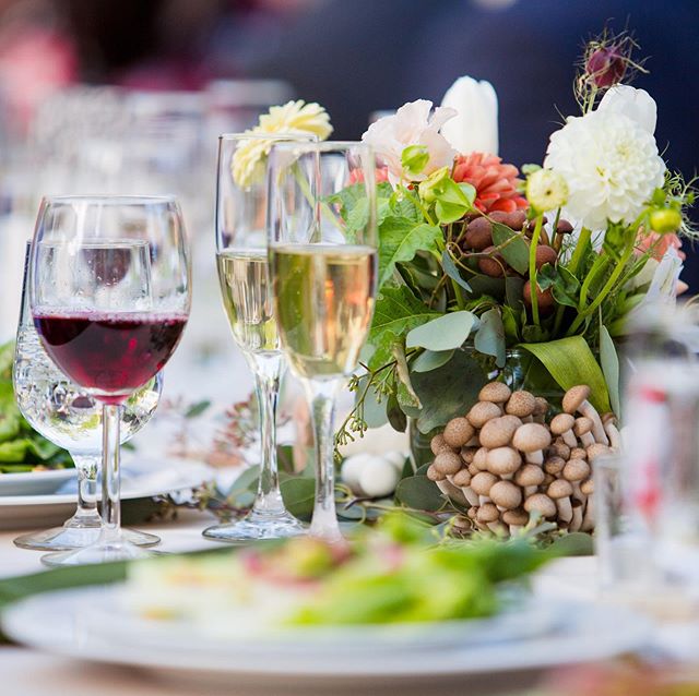 Shroomies? For summer? Groundbreaking! 🍄😎 Mushrooms are available, delicious, and gorgeous all year round!

#mushrooms #florals #wine #summercooking #weddingflowers #mushroom #mycopiamushrooms #fungi #tablescapes #tablesetting #tabledecor #centerpi