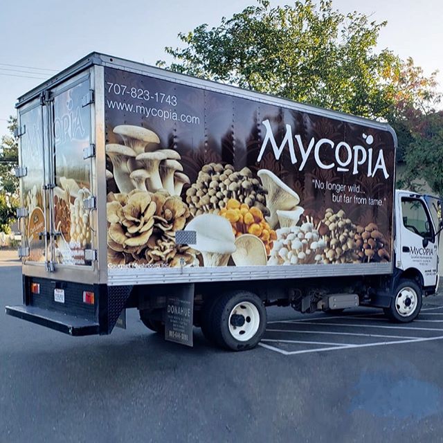 New wheels! ✌️ Thanks for the wrap, @signaramasr! 🍄🚛 #mushrooms #specialdelivery #mycopiamushrooms #sonomacounty #mushroomtruck
