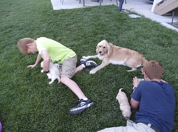 Piper sure enjoyed the summer afternoon with our boys and the puppies playing outside.