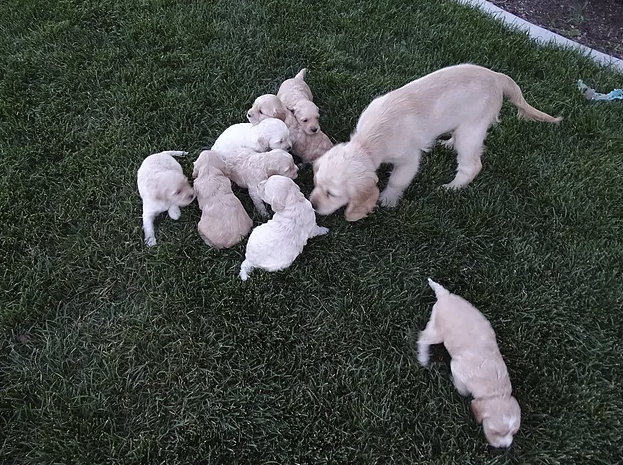 They also got to meet their Aunt Star (Piper's sister) for the first time.