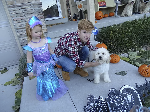 Here is our mini Golden, Nala, with the Lumberjack and Mermaid