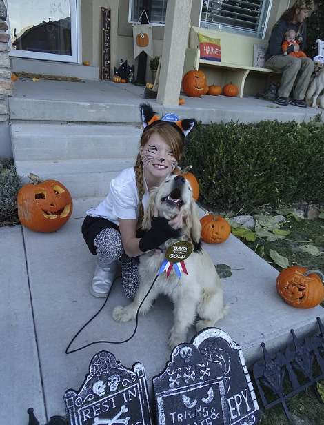 Here is Our Golden Cocker Retriever, Star the Olympic Gold Medalist, with a Fox!